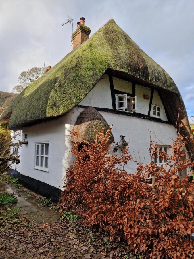 Delightful 3Bed Thatched Cottage Stockbridge  Buitenkant foto
