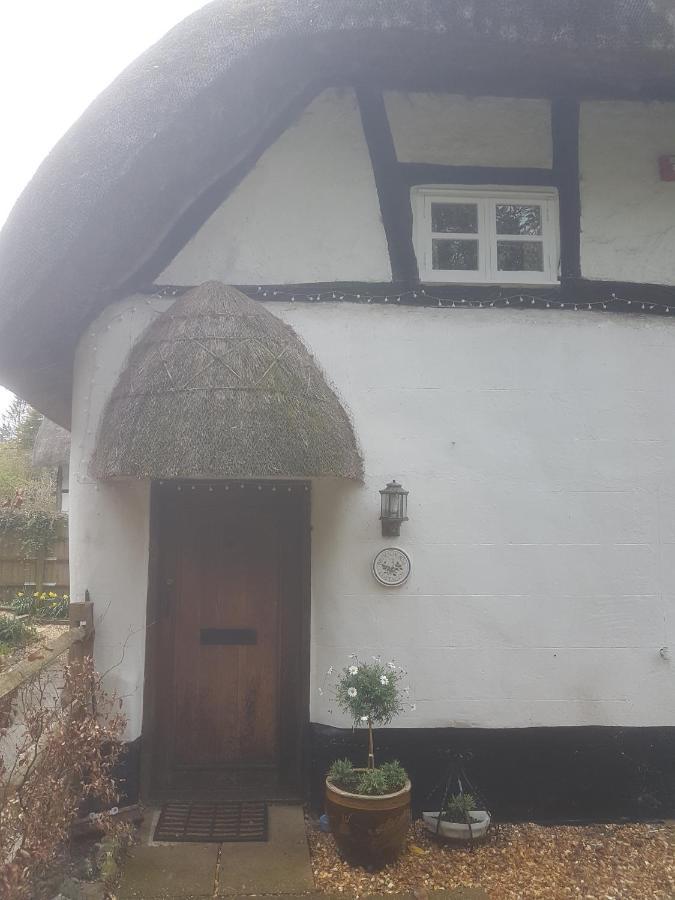 Delightful 3Bed Thatched Cottage Stockbridge  Buitenkant foto